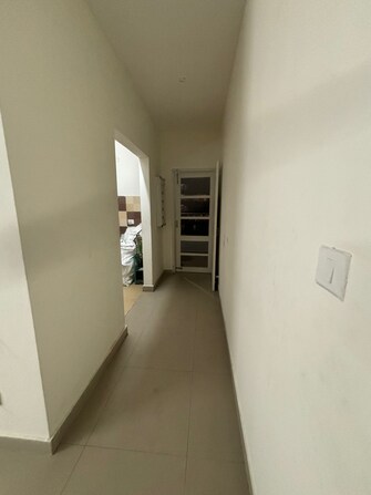 1 BHK Apartment For Rent in Sector 88 Mohali  7951745