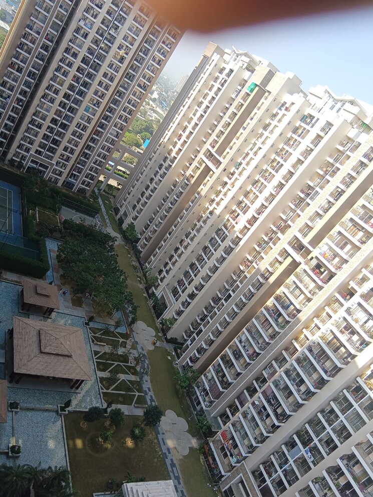 Exterior View, ace-divino 3 Bedroom 933 Sq.Ft. Apartment In Sector 1 Greater Noida Greater Noida 7951897