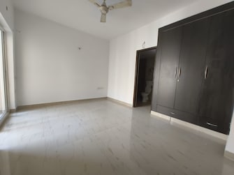 2 BHK Apartment For Rent in Kendriya Lok Nirman CHS Sector Phi iv Greater Noida  7951952