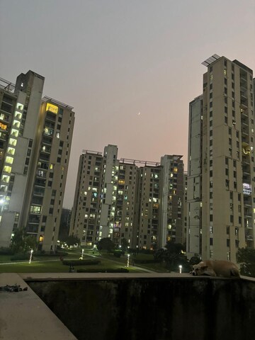 4 BHK Apartment – Exterior View View at Kendriya Lok Nirman CHS, Phi Iv Greater Noida - for Rent
