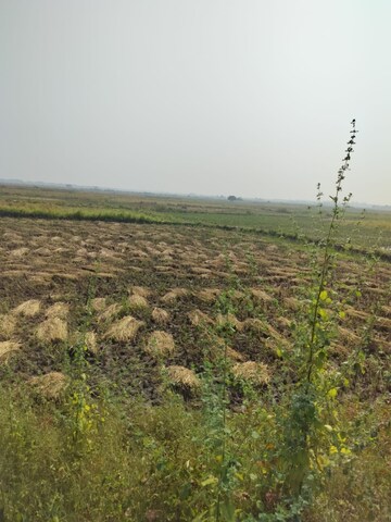 Plot Area in  Plot at Vindhane – for Sale
