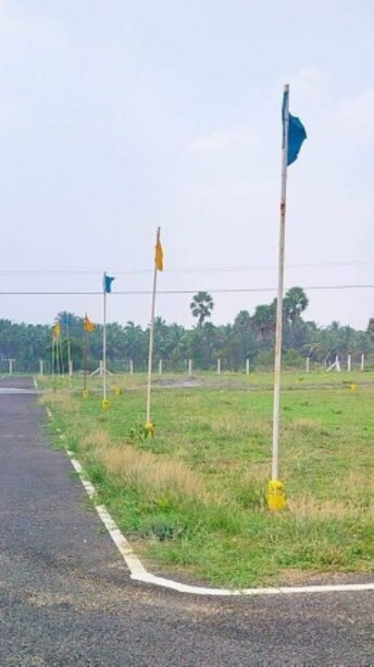 Plot For Resale in Doddaballapur Bangalore  7952046