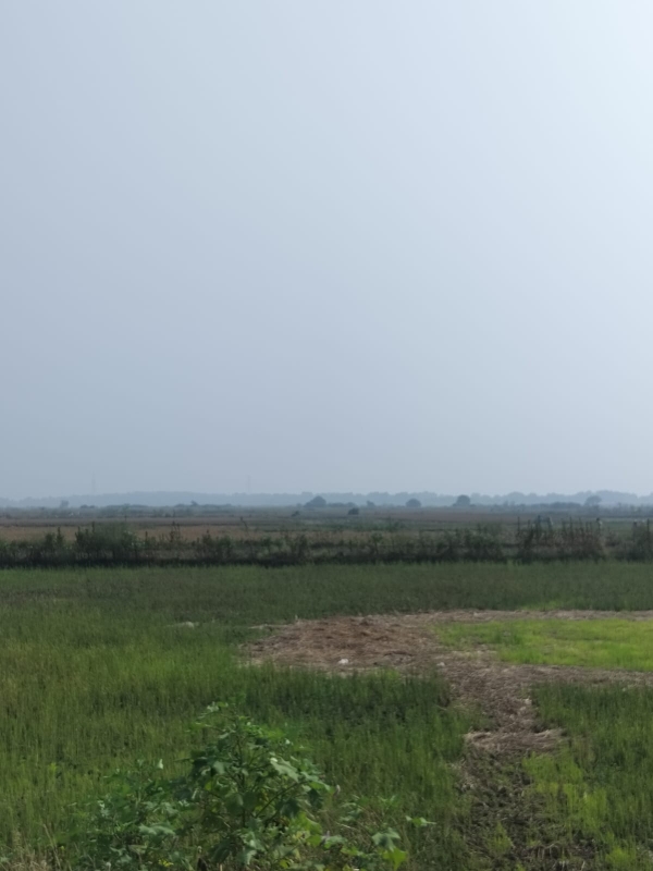 Plot For Sale in Vindhane