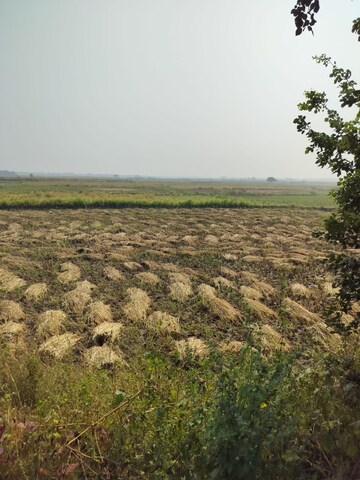 Plot Area in  Plot at Vindhane – for Sale