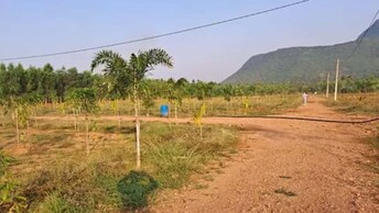 Plot For Resale in RK Geethanjali Anakapalle Vizag  7819259