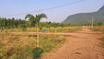 Plot For Resale in RK Geethanjali Anakapalle Vizag  7819259