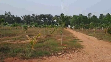 Plot Area in  Plot at Sarada Colony – for Sale