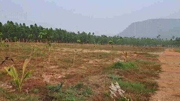 Plot Area in  Plot at Sarada Colony – for Sale