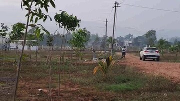 Plot Area in  Plot at Sarada Colony – for Sale