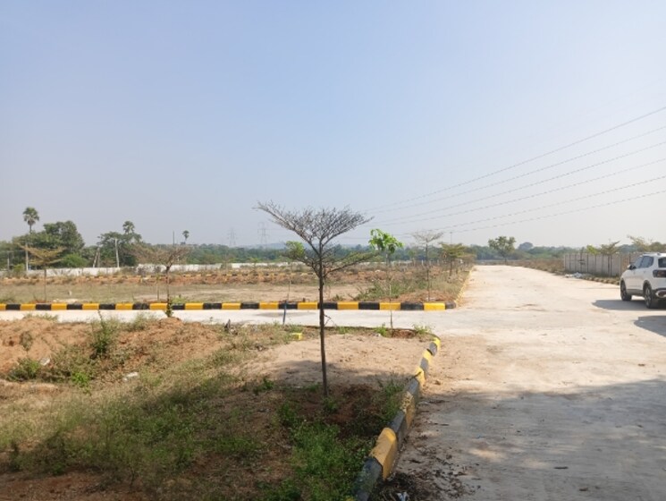 undefined, shamirpet  150 Sq.Yd. Plot In Shamirpet Hyderabad 7952113