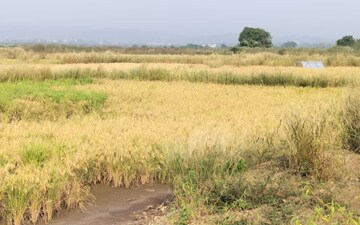 Plot For Sale in Vindhane