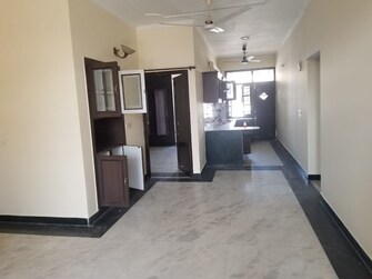 2 BHK Builder Floor For Rent in Sector 37 Chandigarh  7952243