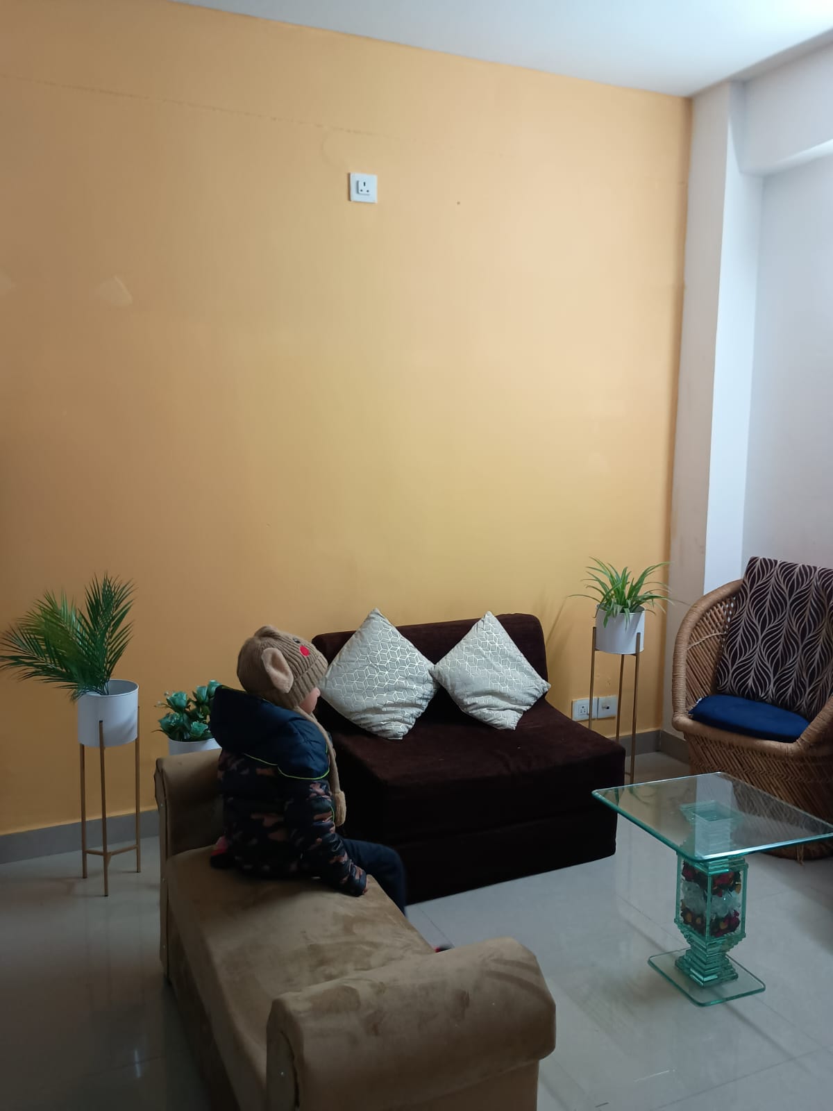 1 BHK + Pooja Room 365 Sq.Ft. Apartment in Lotus Homz