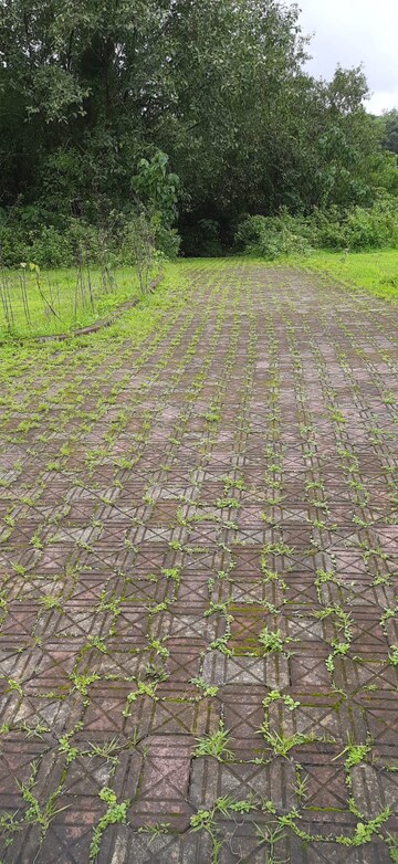  Plot – Exterior View View at Sawantwadi - for Sale
