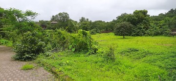  Plot For Sale in Sawantwadi