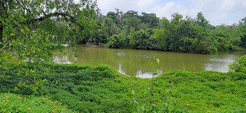  Plot – Exterior View View at Sawantwadi - for Sale