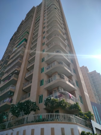 4 BHK Apartment For Rent in Kendriya Lok Nirman CHS Sector Phi iv Greater Noida  7952430