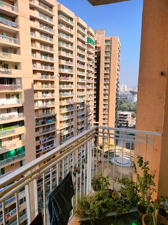 4 BHK Apartment For Rent in Kendriya Lok Nirman CHS Sector Phi iv Greater Noida  7952430