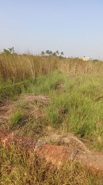 Plot For Resale in Badaraghunathpur Bhubaneswar  7952508