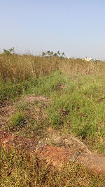 Plot For Resale in Badaraghunathpur Bhubaneswar  7952508