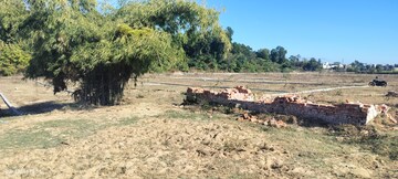Plot Area in  Plot at Badowala – for Sale