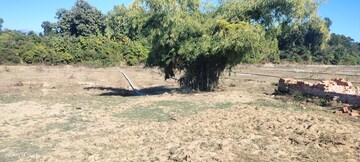 Plot Area in  Plot at Badowala – for Sale