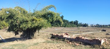 Plot Area in  Plot at Badowala – for Sale