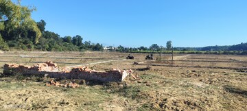 Plot Area in  Plot at Badowala – for Sale