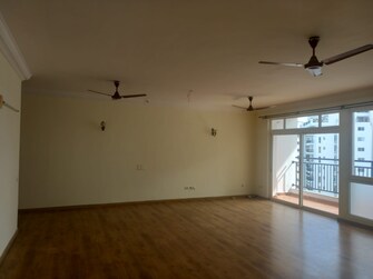 2 BHK Apartment For Rent in Rohan Vasantha Marathahalli Bangalore  7952616