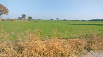 Commercial Land 10200 Sq.Ft. For Resale in Sanwer Indore  7930594