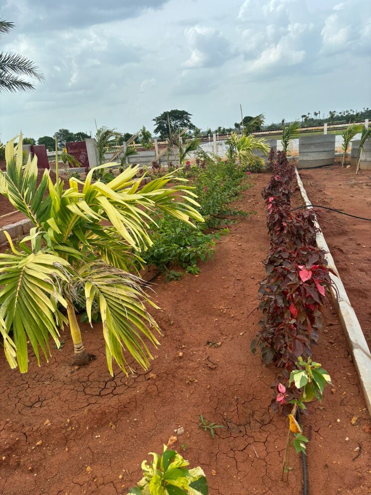 Garden, sri-bhumi-eeshaanya  166 Sq.Yd. Plot In Kankipadu Vijayawada 7952764