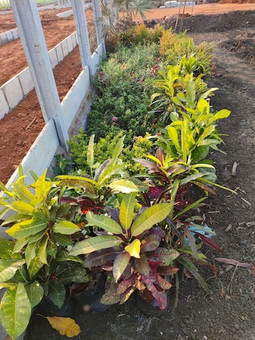  Plot – Garden View at Sri Bhumi Eeshaanya, Kankipadu - for Sale