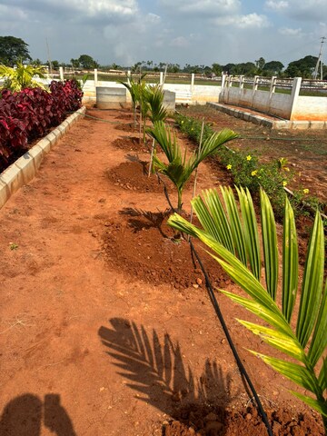  Plot – Exterior View View at Sri Bhumi Eeshaanya, Kankipadu - for Sale