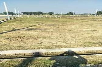 Plot For Resale in Rohini Sector 35 Delhi  7952842