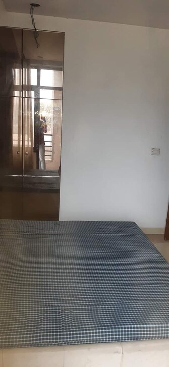 3 BHK Apartment For Rent in Puri Pratham Sector 84 Faridabad  7948825