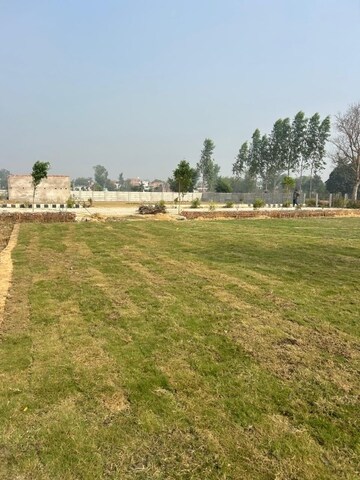 Plot Area in  Plot at Gosainganj – for Sale