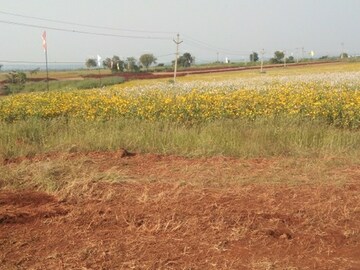 Plot Area in  Plot at Adibatla – for Sale