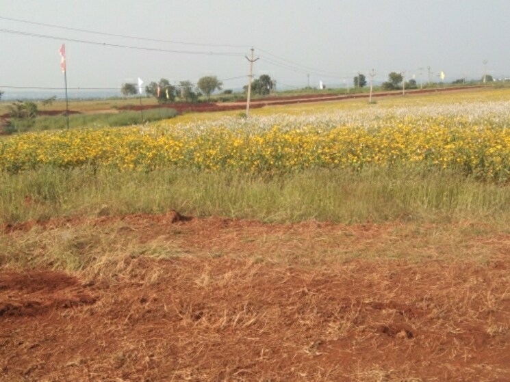 undefined, adibatla  200 Sq.Yd. Plot In Adibatla Hyderabad 7953570