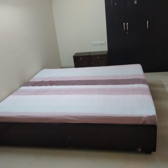 3 BHK Apartment For Rent in Salarpuria Symphony Begur Bangalore  7953679