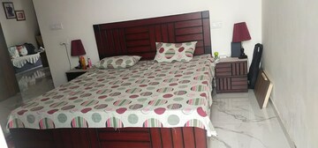 3 BHK Apartment For Rent in Vip Road
