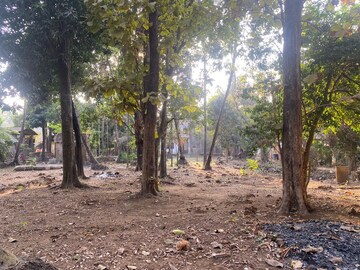 Plot Area in  Plot at Alibag – for Sale