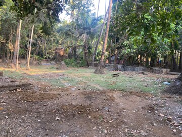 Plot Area in  Plot at Alibag – for Sale