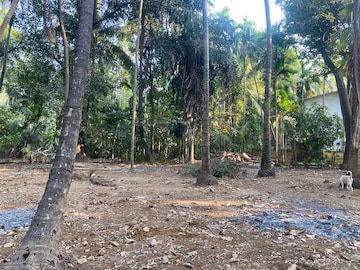 Plot Area in  Plot at Alibag – for Sale