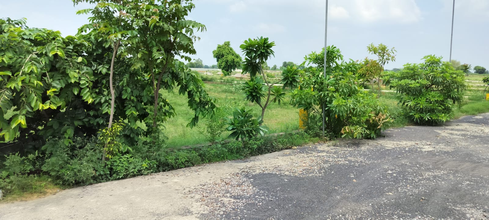 Plot For Sale in Radha Rani Township Jewar