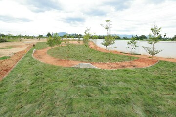 Plot Area in  Plot at Renigunta – for Sale