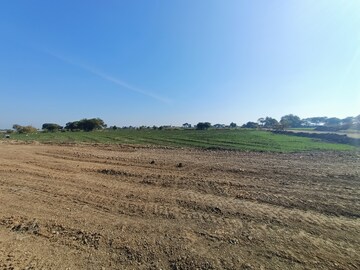 Plot Area in  Plot at Barnagar – for Sale