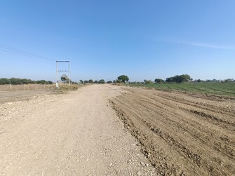 Plot For Resale in Barnagar Ujjain  7954008