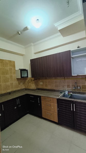 2 BHK Apartment For Resale in Amrapali Eden Park Sector 50 Noida  7954057