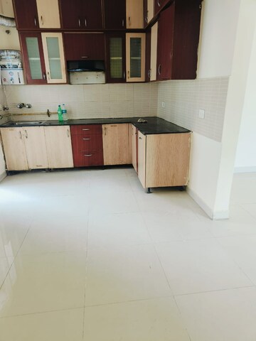 2 BHK Apartment For Rent in Futec Gateway, Sector 75