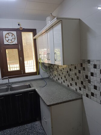 3 BHK Builder Floor For Rent in Green Park Delhi  7954149